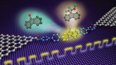 Graphene device reveals step-by-step dynamics of single-molecule reaction image