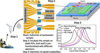 Graphene sensor rapidly detects opioids in wastewater image