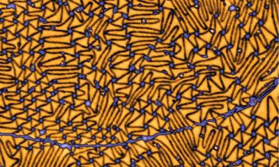 Leiden researchers visualize how atoms behave in between graphene and a substrate image